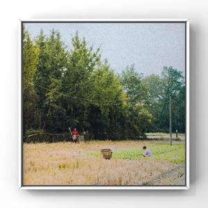 欧美成人小视频
